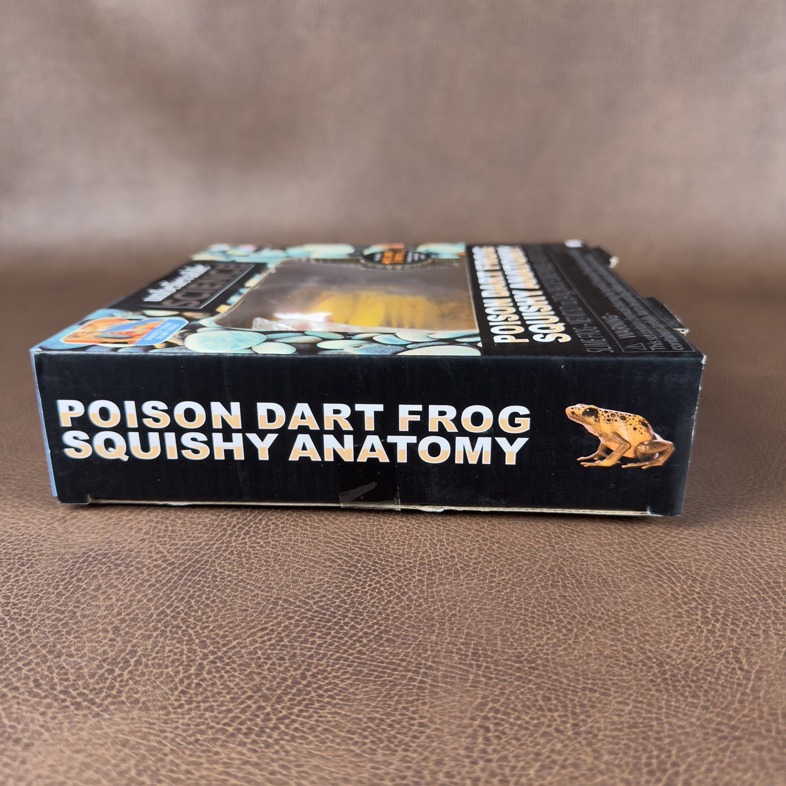 Unbelievable Science Poison Dart Frog Squishy Anatomy Dissecting Kit Educational