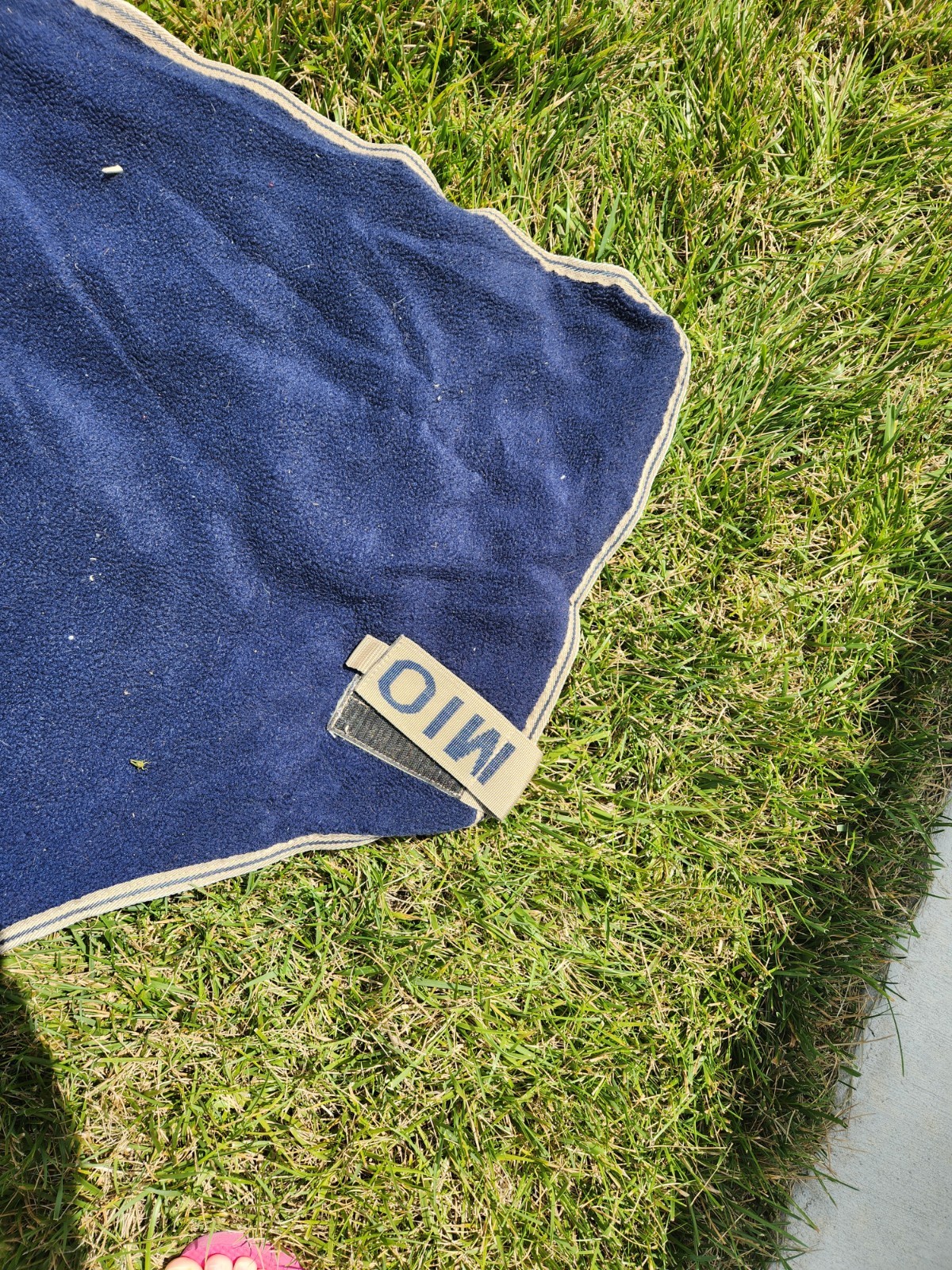 2 - 72" Horse Fleece Coolers/Blankets