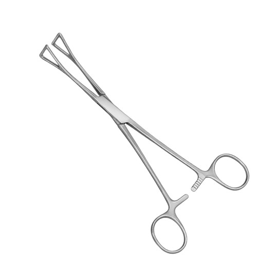 Collin-Duval Intestinal Forceps, 8", Straight, 15mm Wide Jaws, Ring Handles