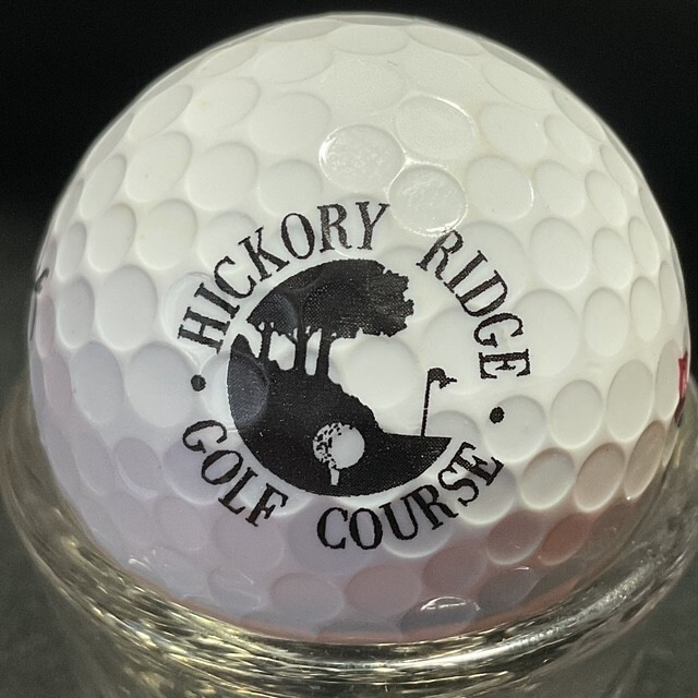 MICHIGAN "H2" GOLF COURSE LOGO BALLS