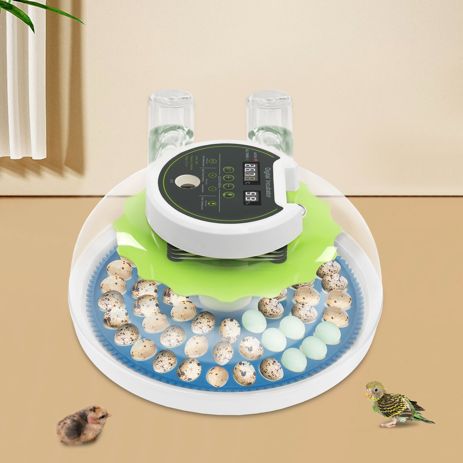 Modern LED Quail Egg Incubator Hatching 60 Quail Eggs Automatic Brooder