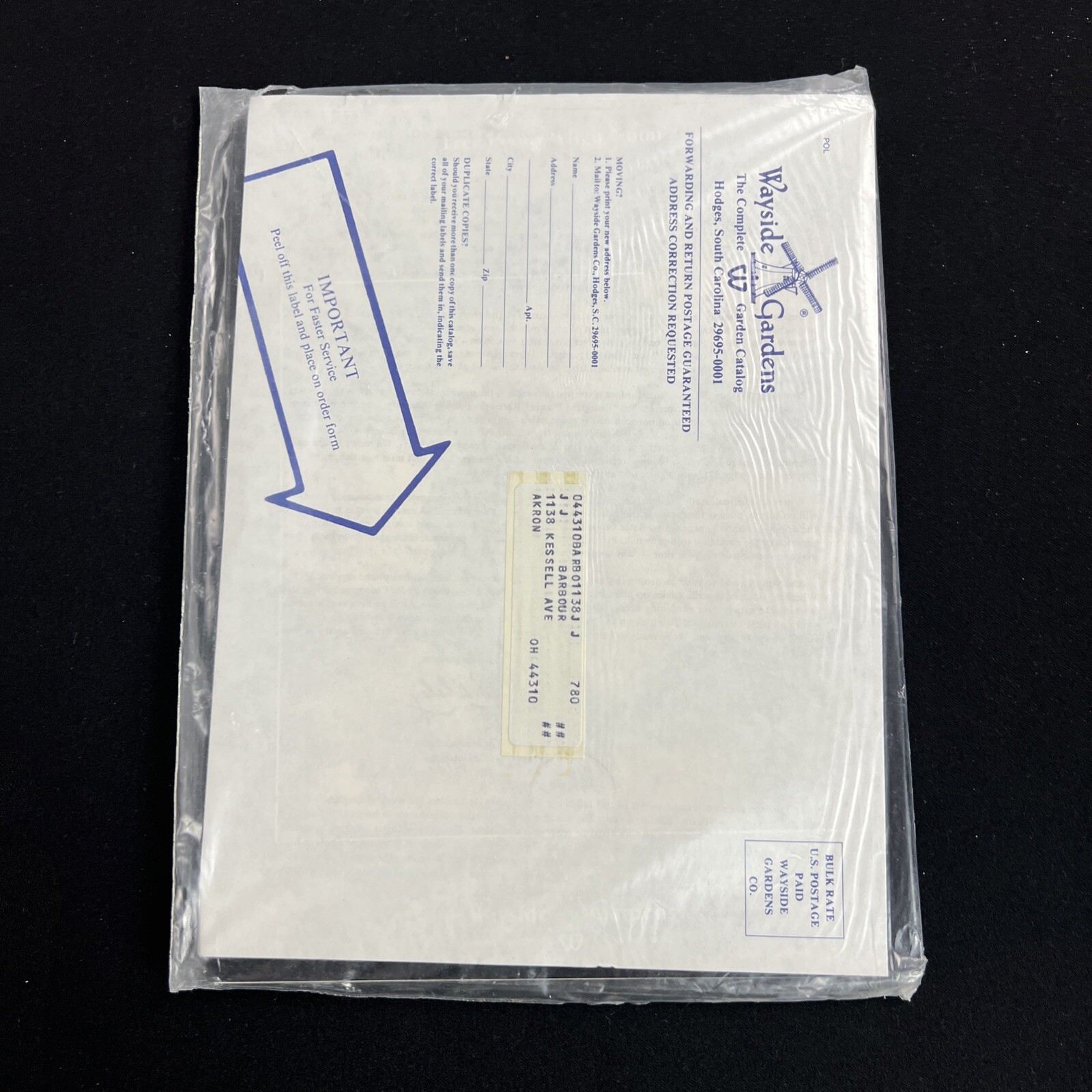 Kippenberger TASCHEN