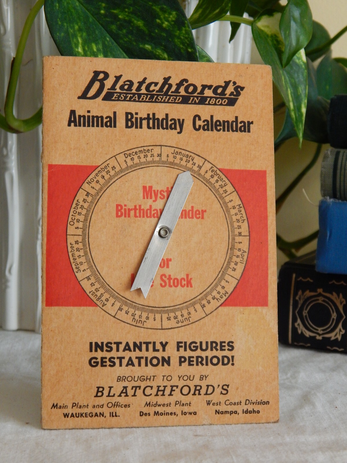 Blachford's Mystic Animal Birthday Calendar Livestock Gestation Chicago Ill T483