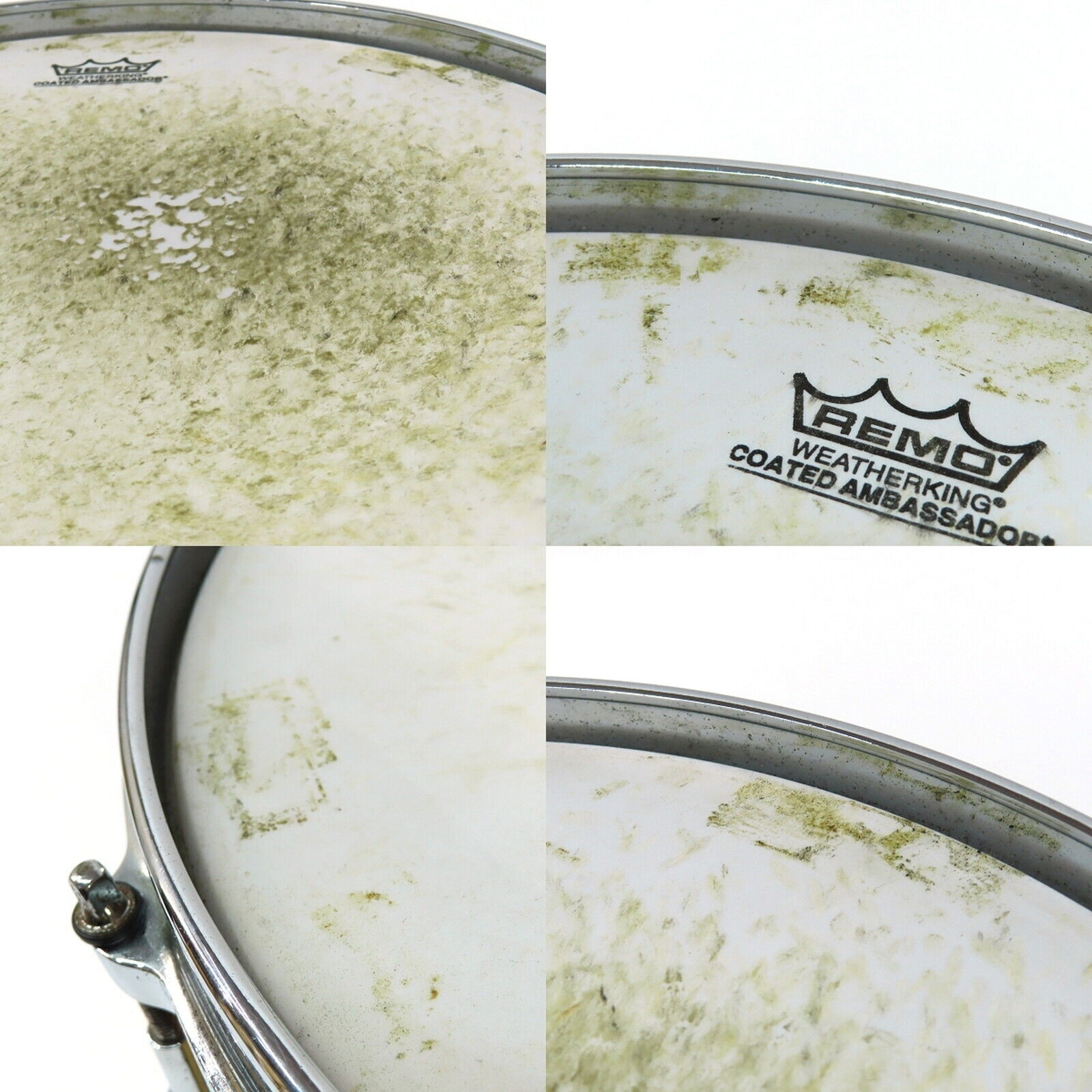 canopus MFP-1455 Used Snare Drum