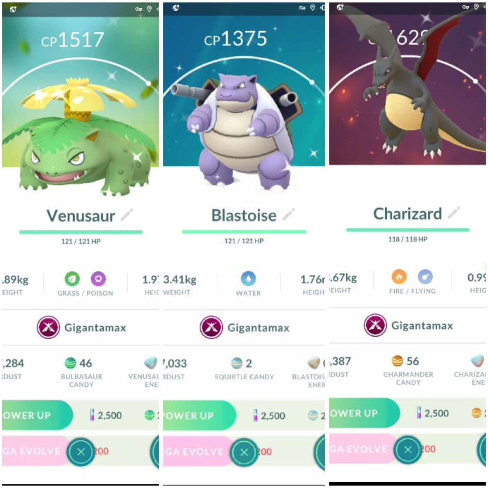 Pokémon - Shiny GIGANTAMAX Charizard, Venusaur, Blastoise - PTC - Description
