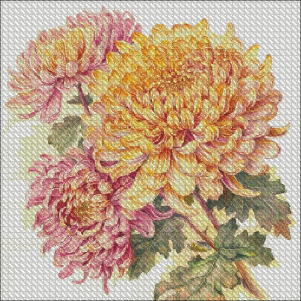 Yellow and Pink Chrysanthemums Chart Counted Cross Stitch Patterns Needlework