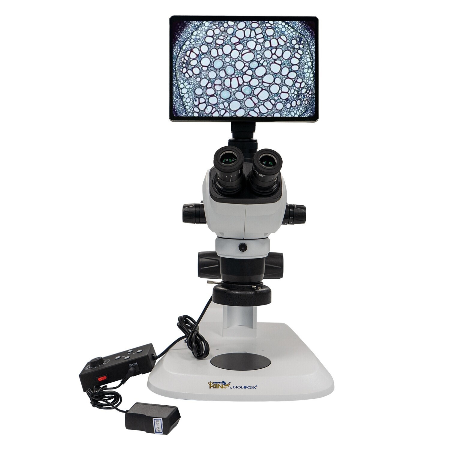 Trinocular Microscope, Eyepiece10X/23mm(adjustable viewing)), 10.5 inch, 1 Pcs