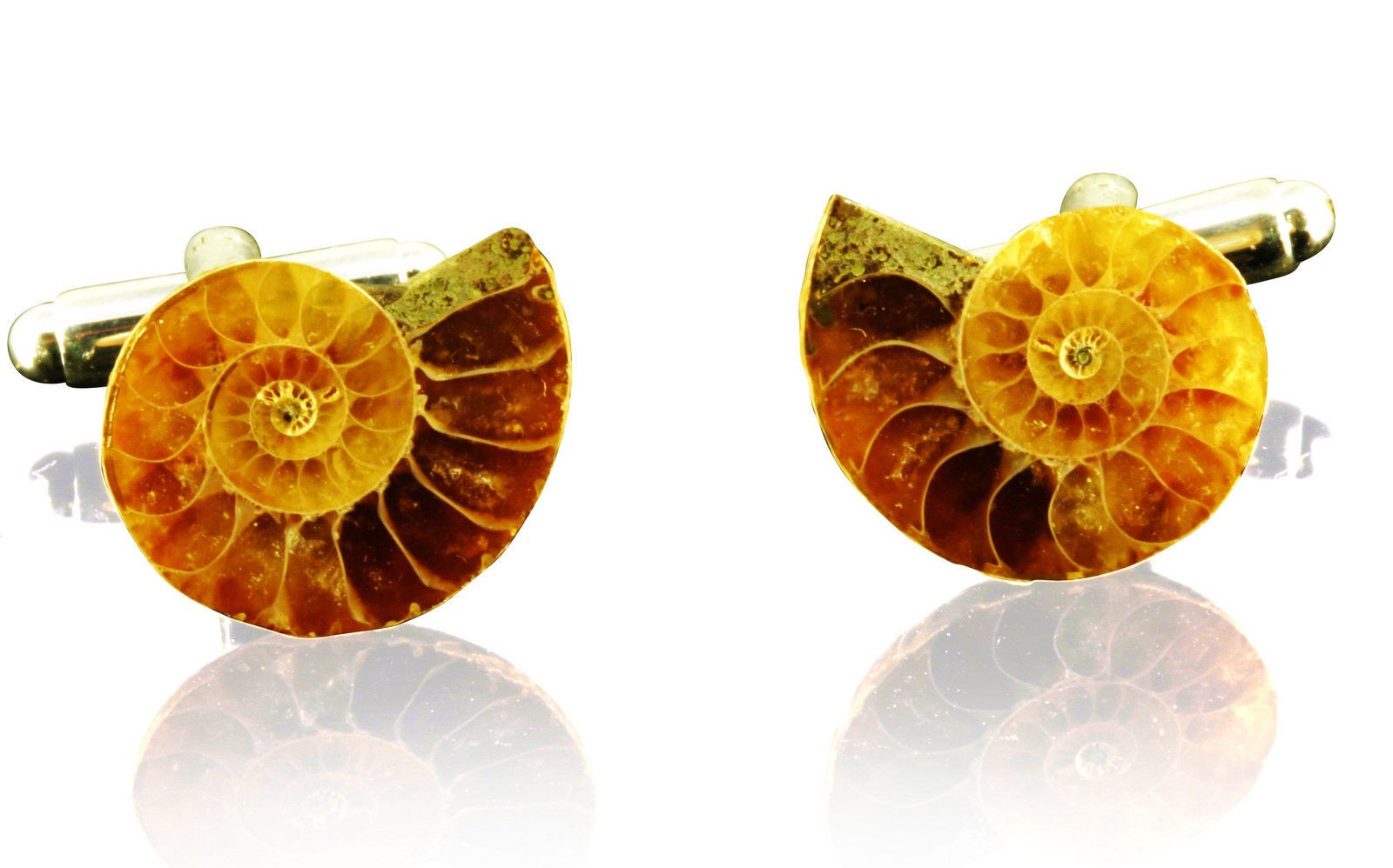 Genuine Ammonite Fossil Cufflinks Madagascar Cretaceous Gift Box Certificate