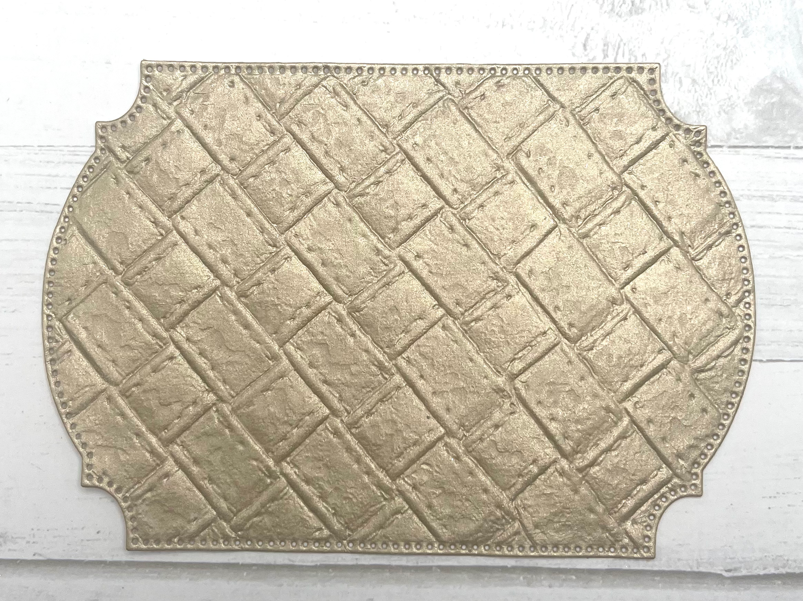 Die Cuts Plaque Labels Stitched Edge 10 Pieces Textured Tonic Studios Cotton Spe