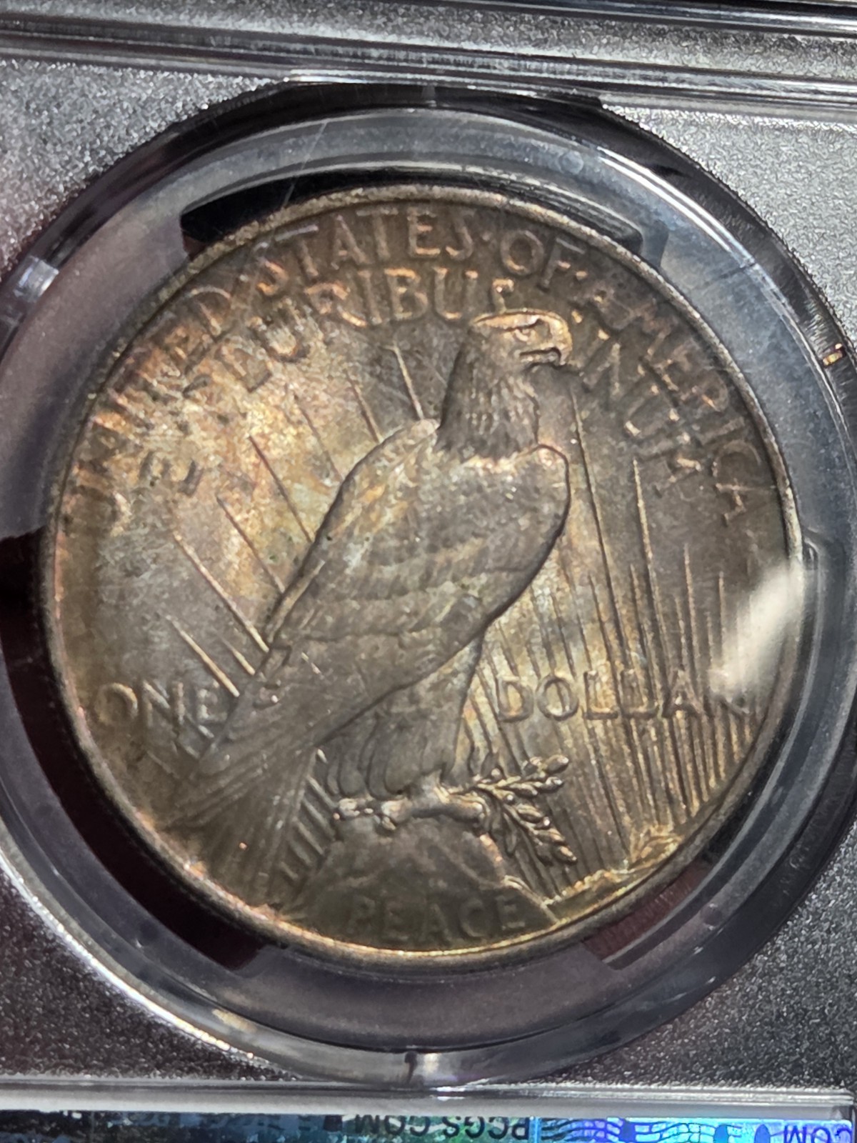 1924 $1 Peace Dollar PCGS MS64 Toned