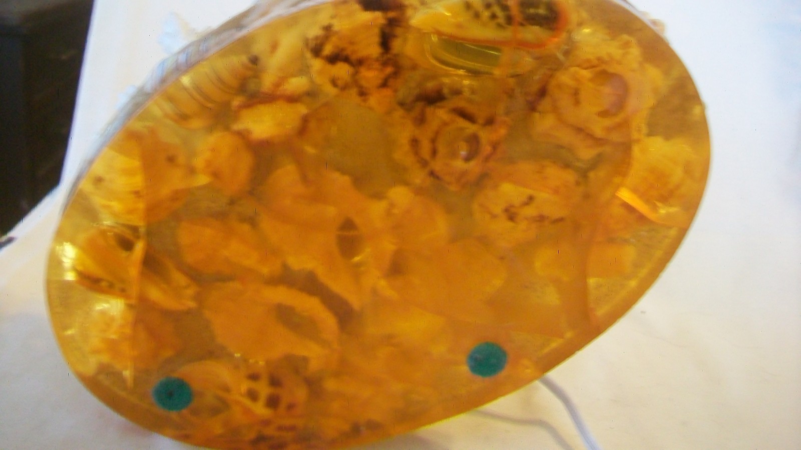 Conch Seashell Night Light with Many Other Shells on Clear Resin Base