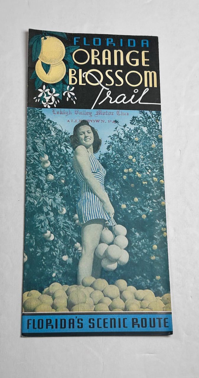 Florida Orange Blossom Trail Vintage Travel Brochure