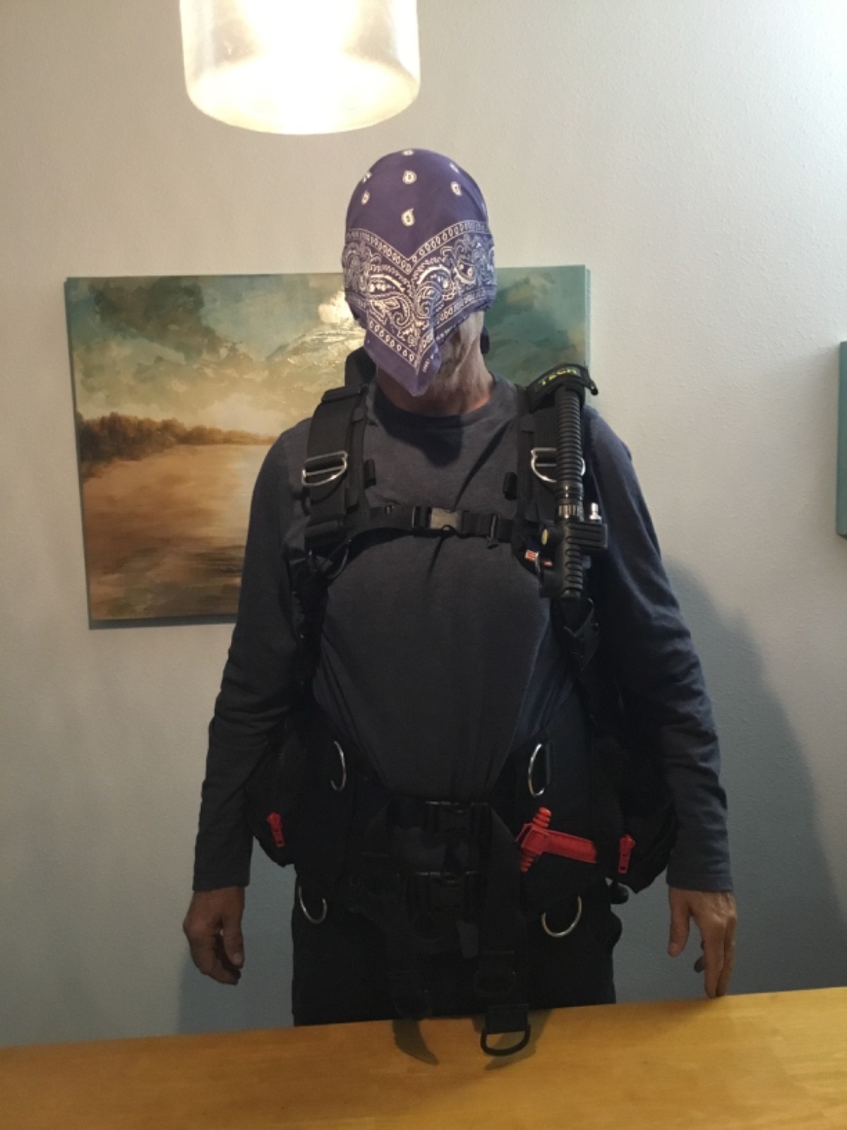 Zeagle Tech BCD
