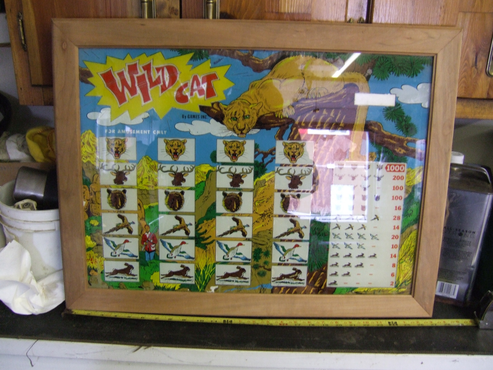 Bally bingo pinball MAN CAVE WALL HANGER BACK GLASS