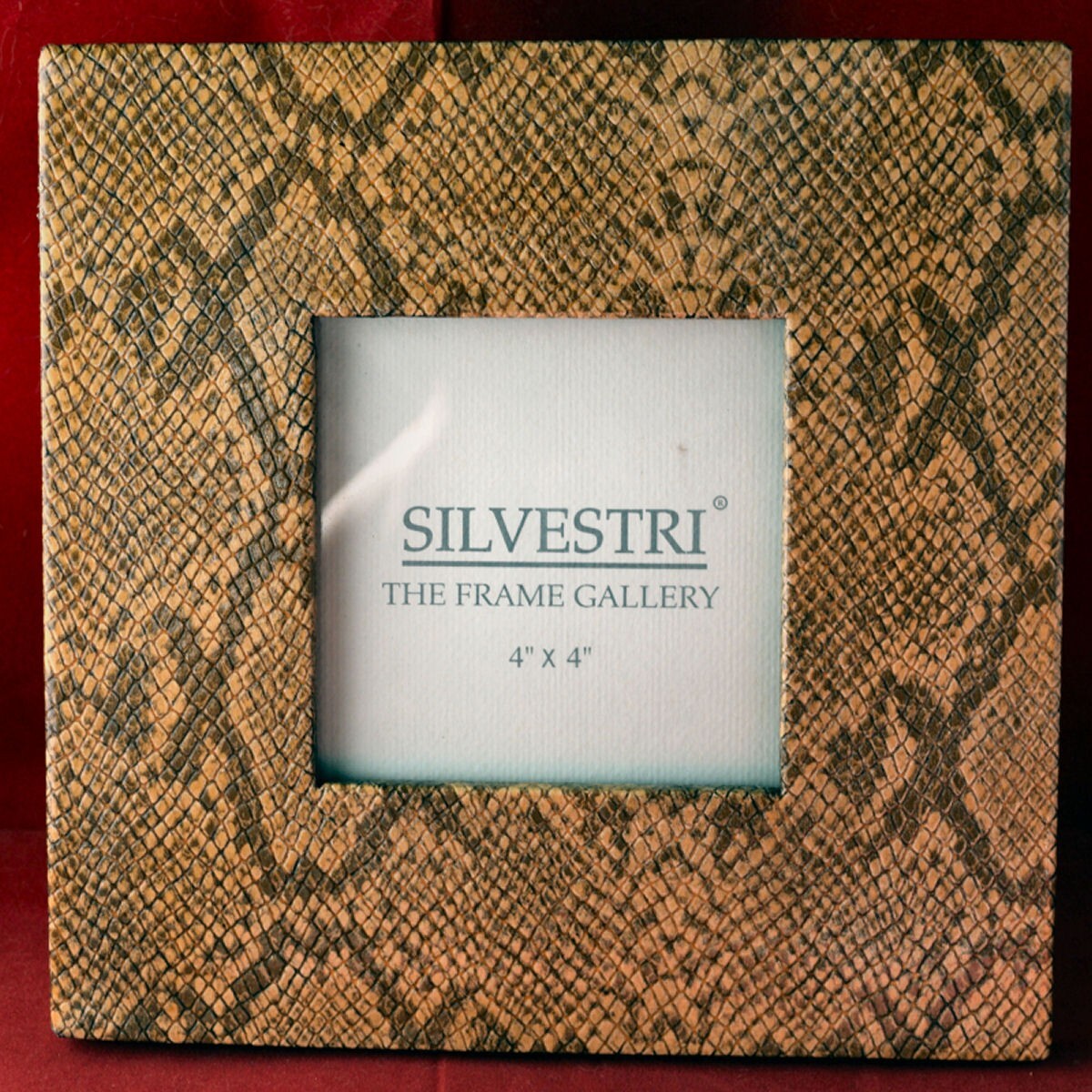 Silvestri Snake Skin Look Photo Box - Holds Prints 8-1/2" x 7" and Smaller