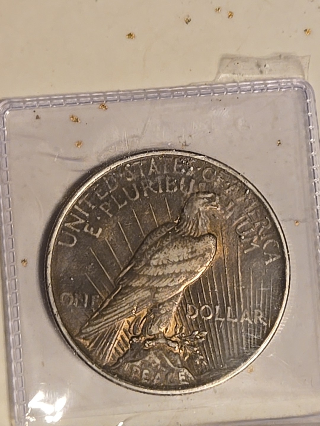 1924 $1 Peace Dollar Toned