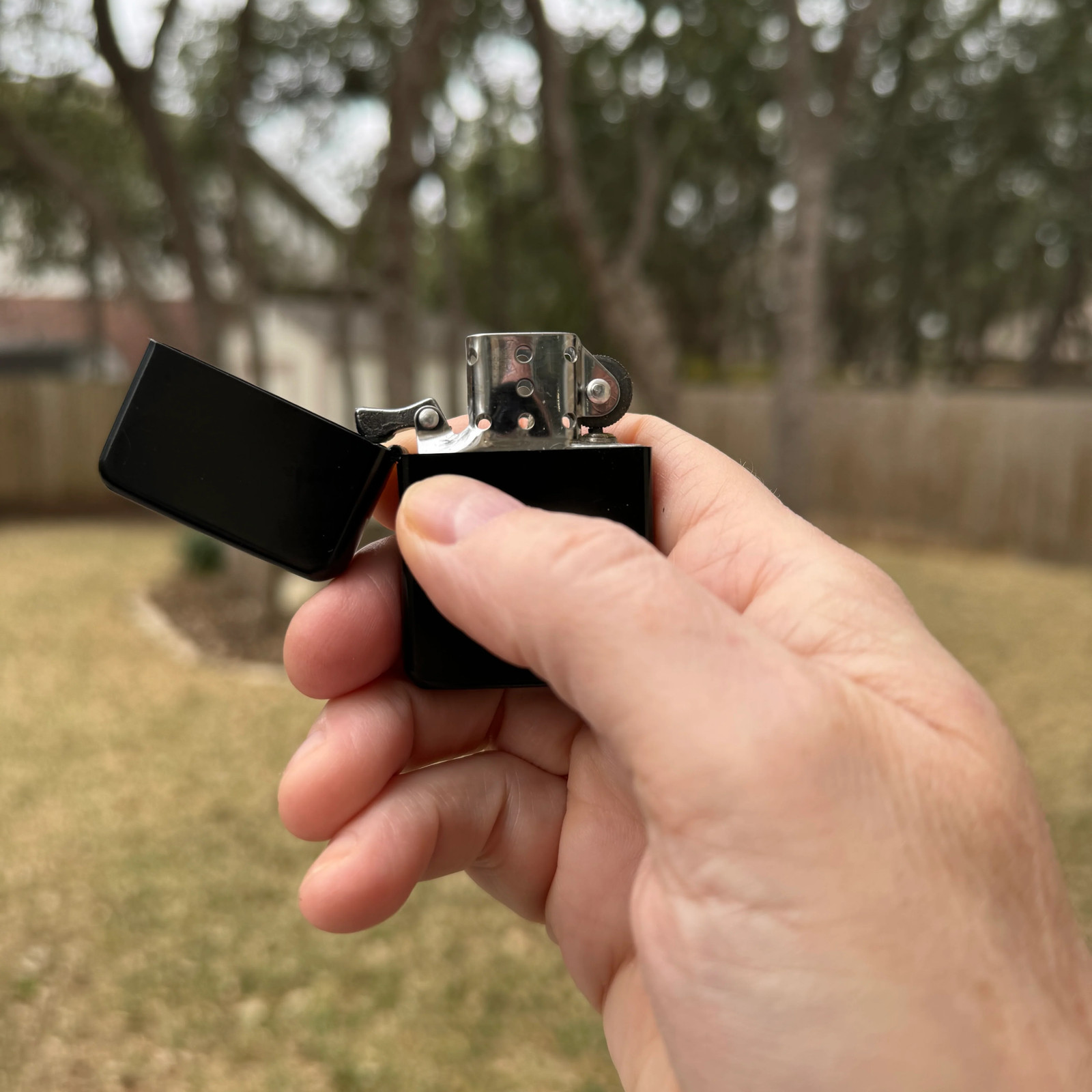 Black Lighter - Lion