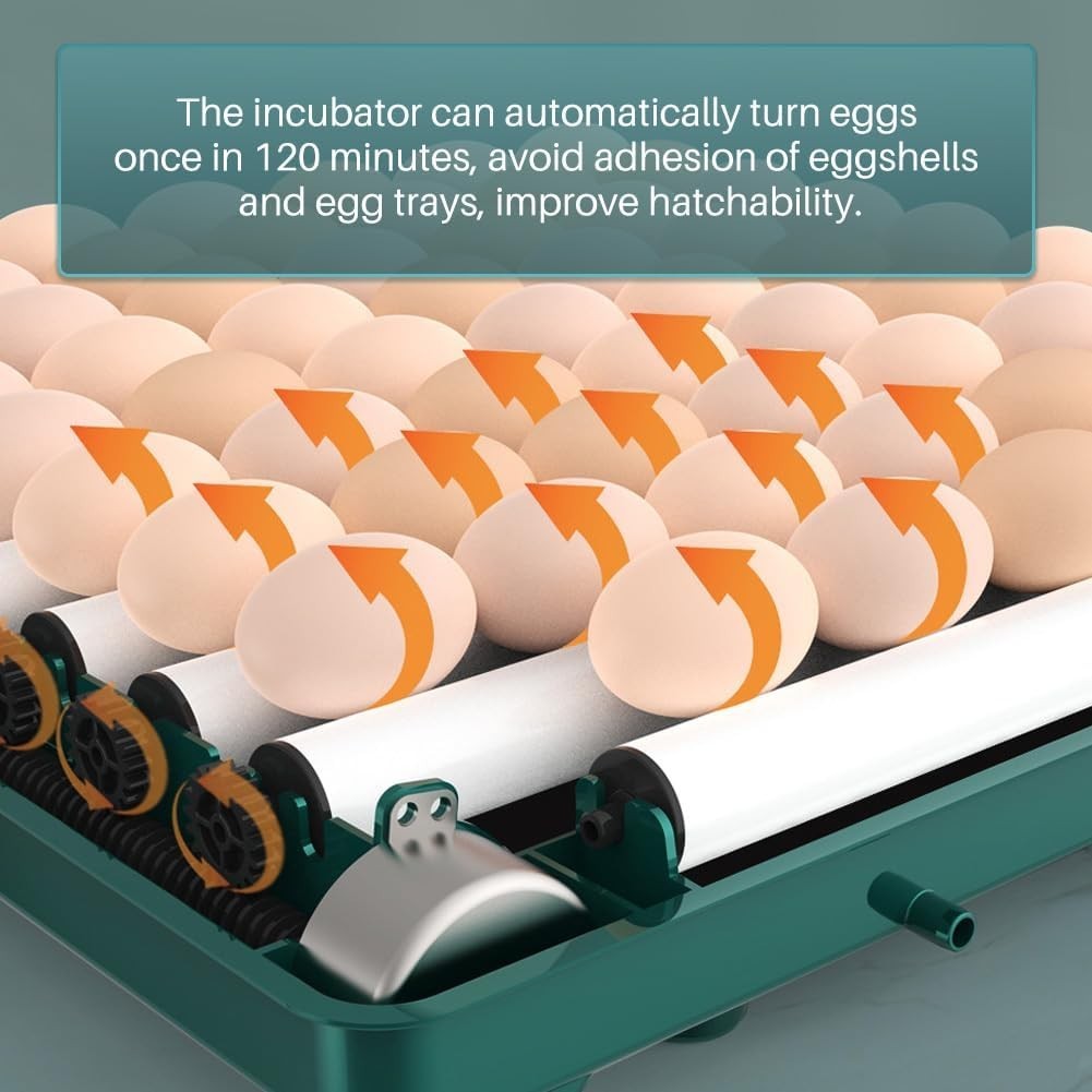 Automatic Egg Incubator 12-38 Egg Digital Poultry Hatcher Machine ith Automatic