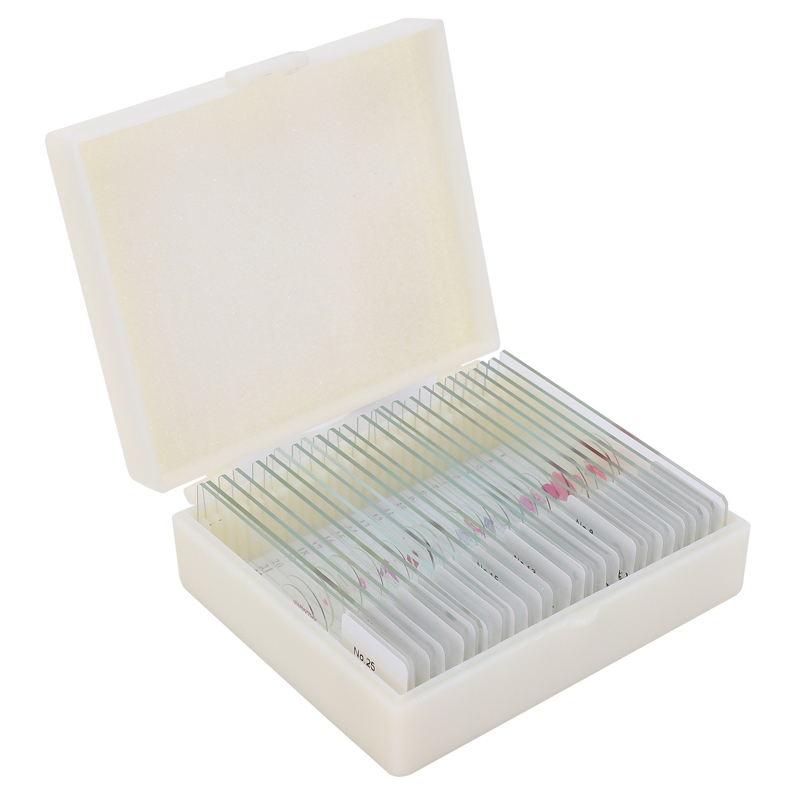 25Pcs Animal Slides Microscope Sample Slides For Science Education Popular