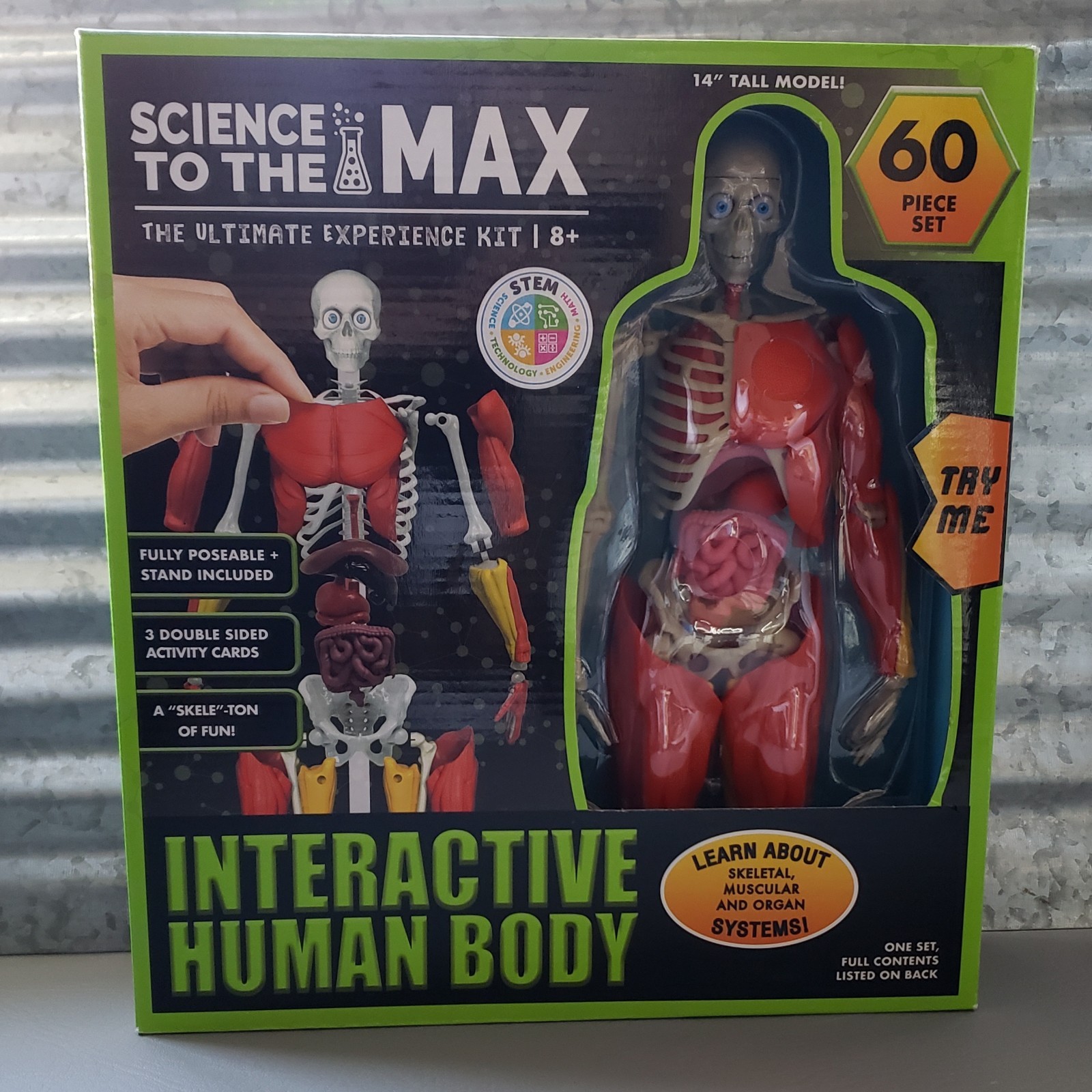 Science To The Max Interactive Human Body 60 Piece Set New