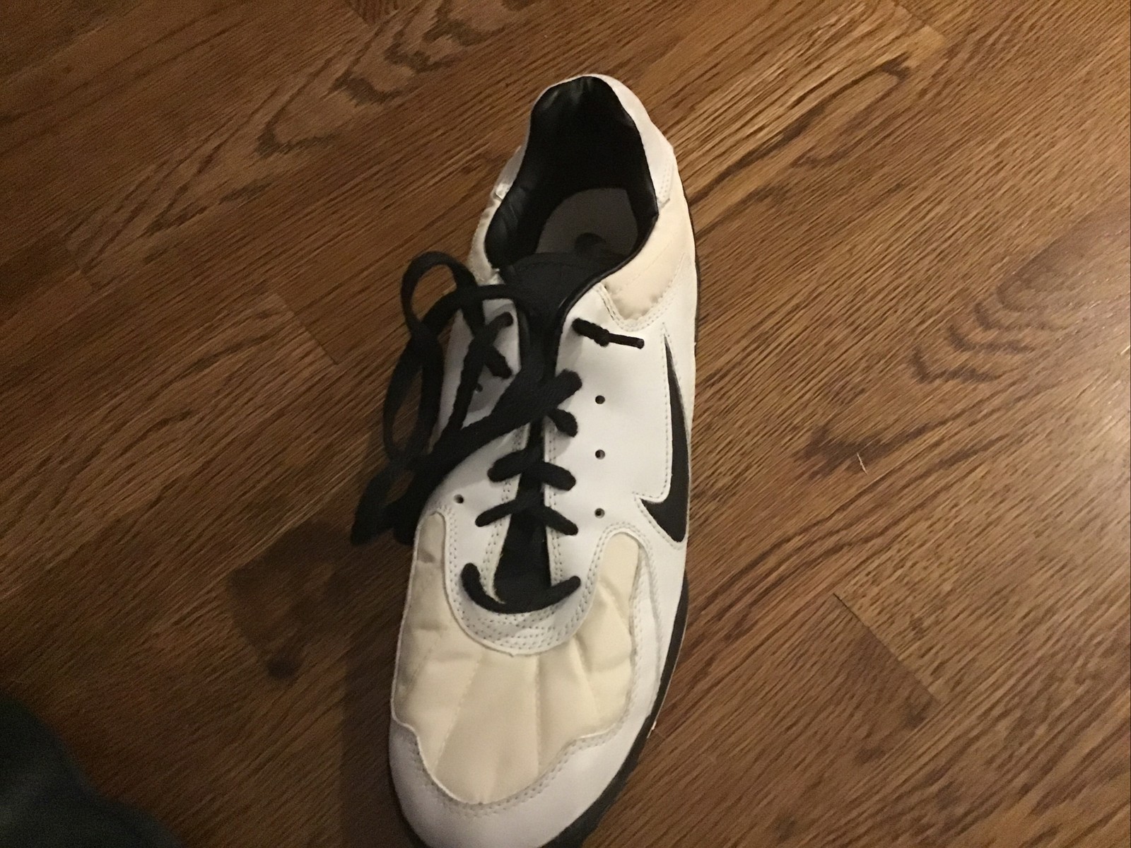 Nike Golf Shoes Size 10.5