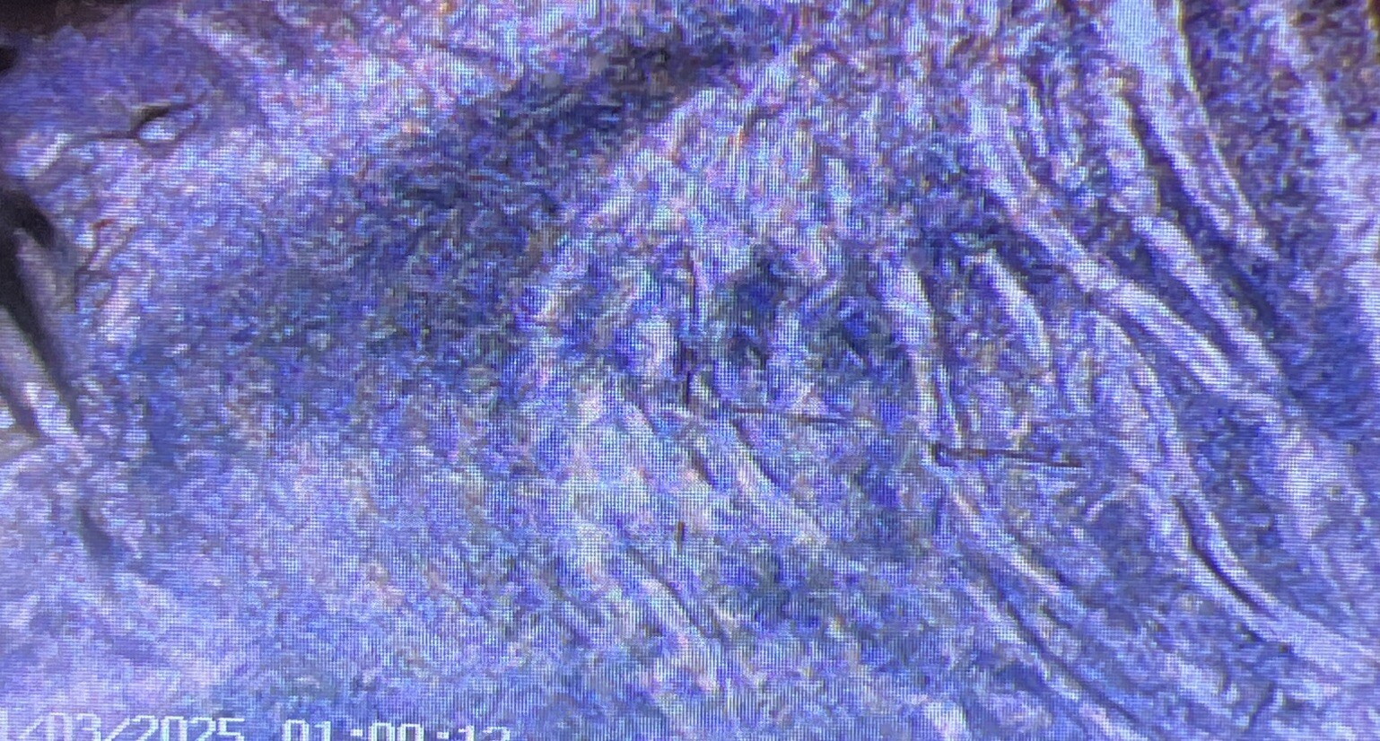 2018 P Dime DDO Die Chips Cracks & Retained Cuds Both Sides Mint Errors