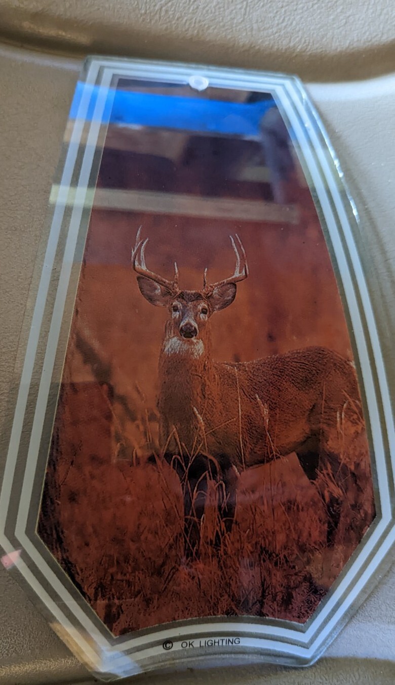 OK Lighting Lamp Glass Light Panel Replacement Pane Vintage Deer Buck Doe Rack