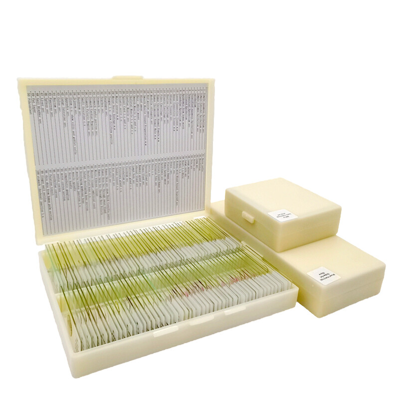 200pcs Animal Insect Plant Tissue Microscope Prepared Slides Set