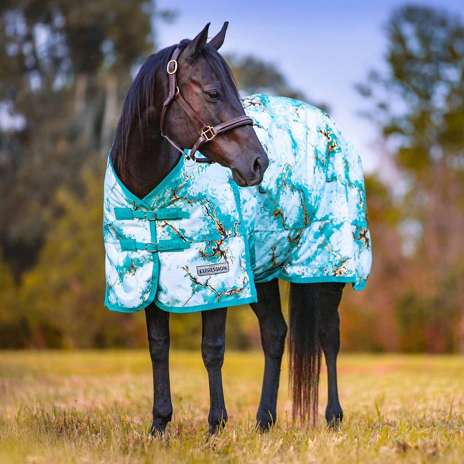 Jeffers Expression 1200 Denier Standard Neck Turnout Sheet, 78", Bisbee Blue