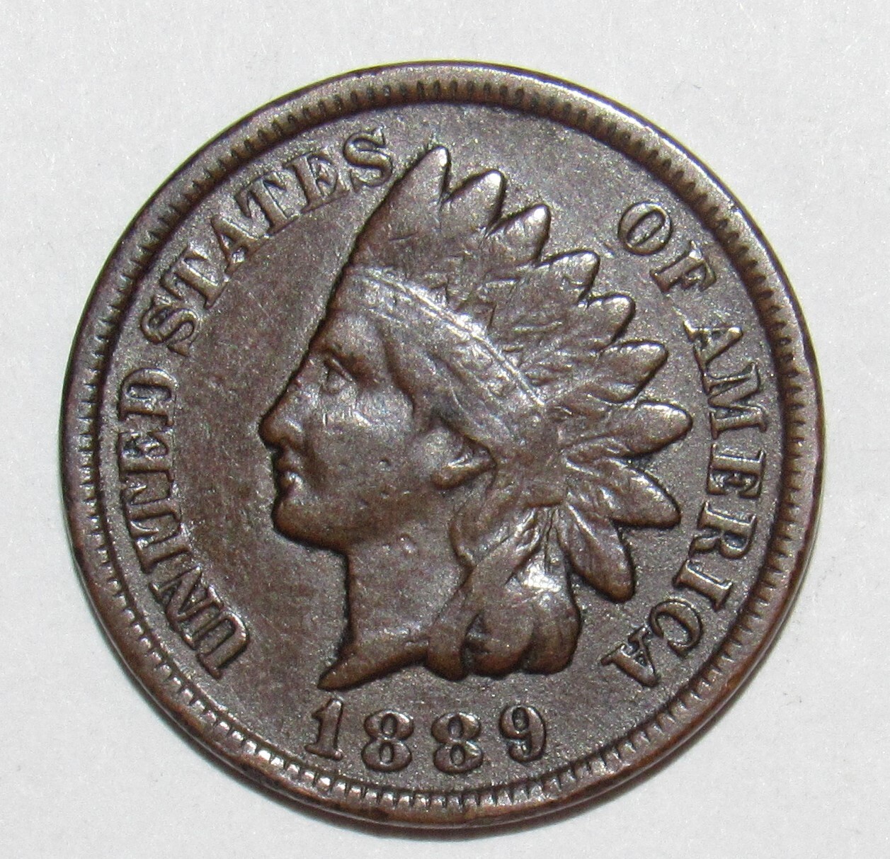 1889 Indian Head Cent VF (M5)