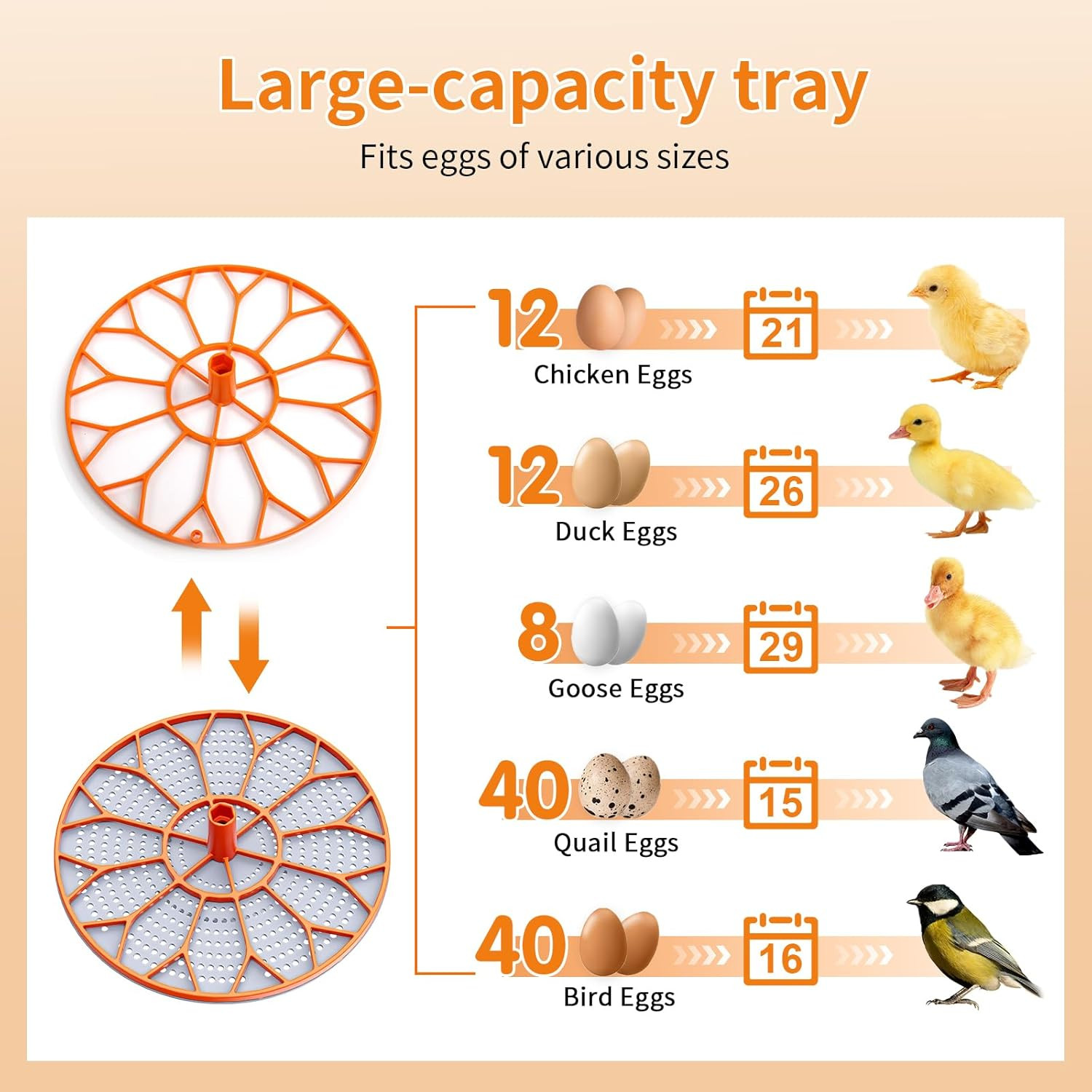 12 Egg Incubator, Incubator for Hatching Eggs, Automatic Turning,Temperature& Hu