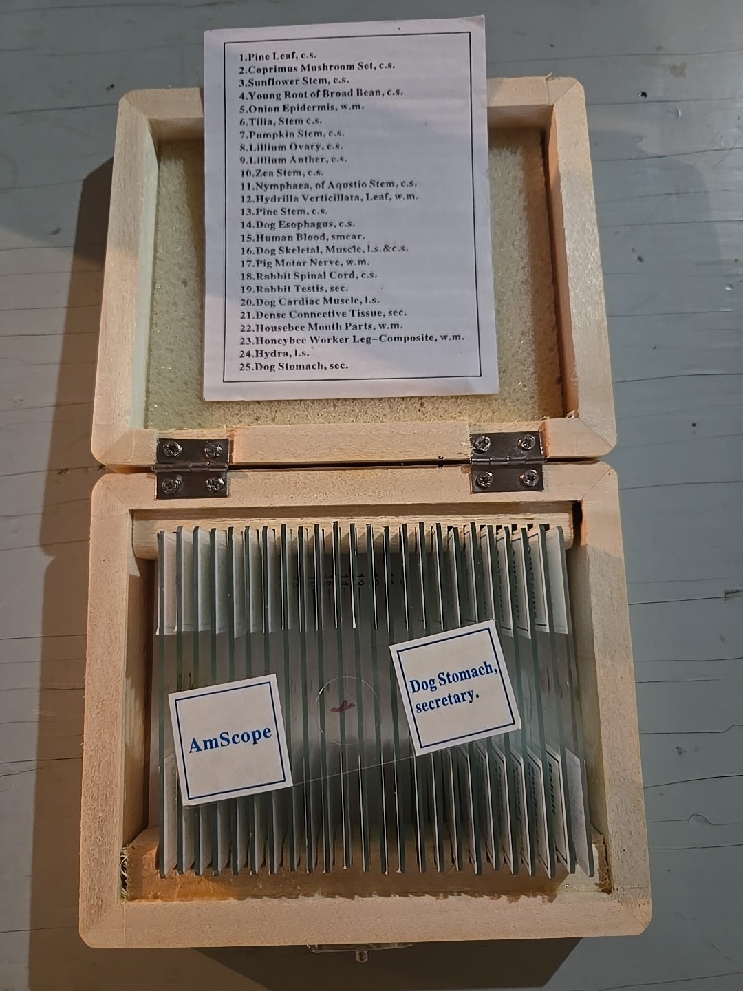 Kit of 25 AMSCOPE Prepared Microscope Slide Set for Basic Biological Science