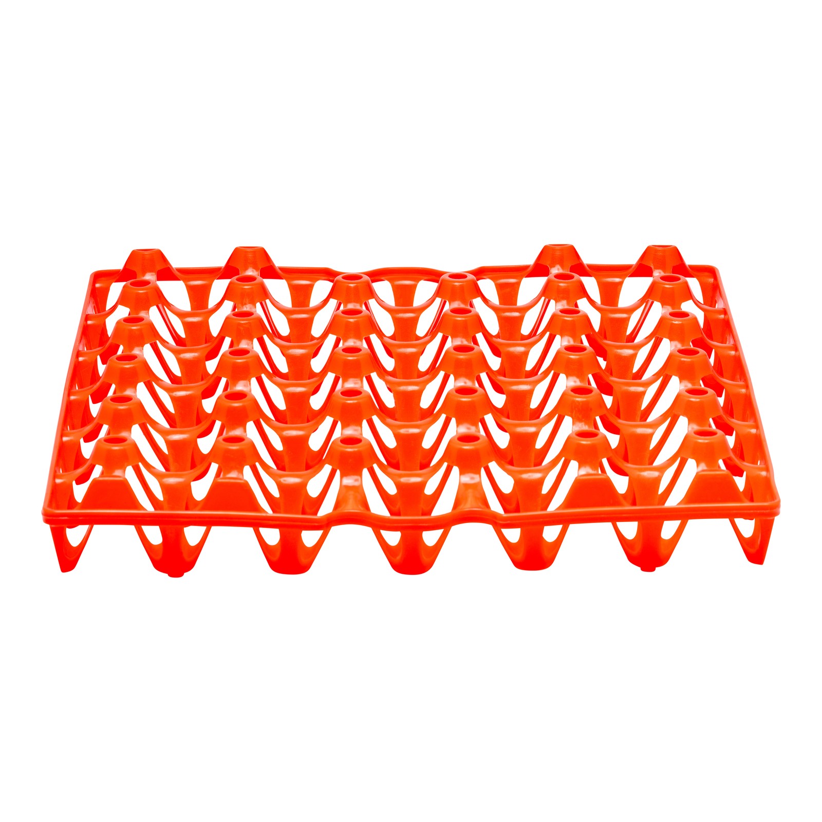 Drip Depot Plastic Chicken Egg Tray
