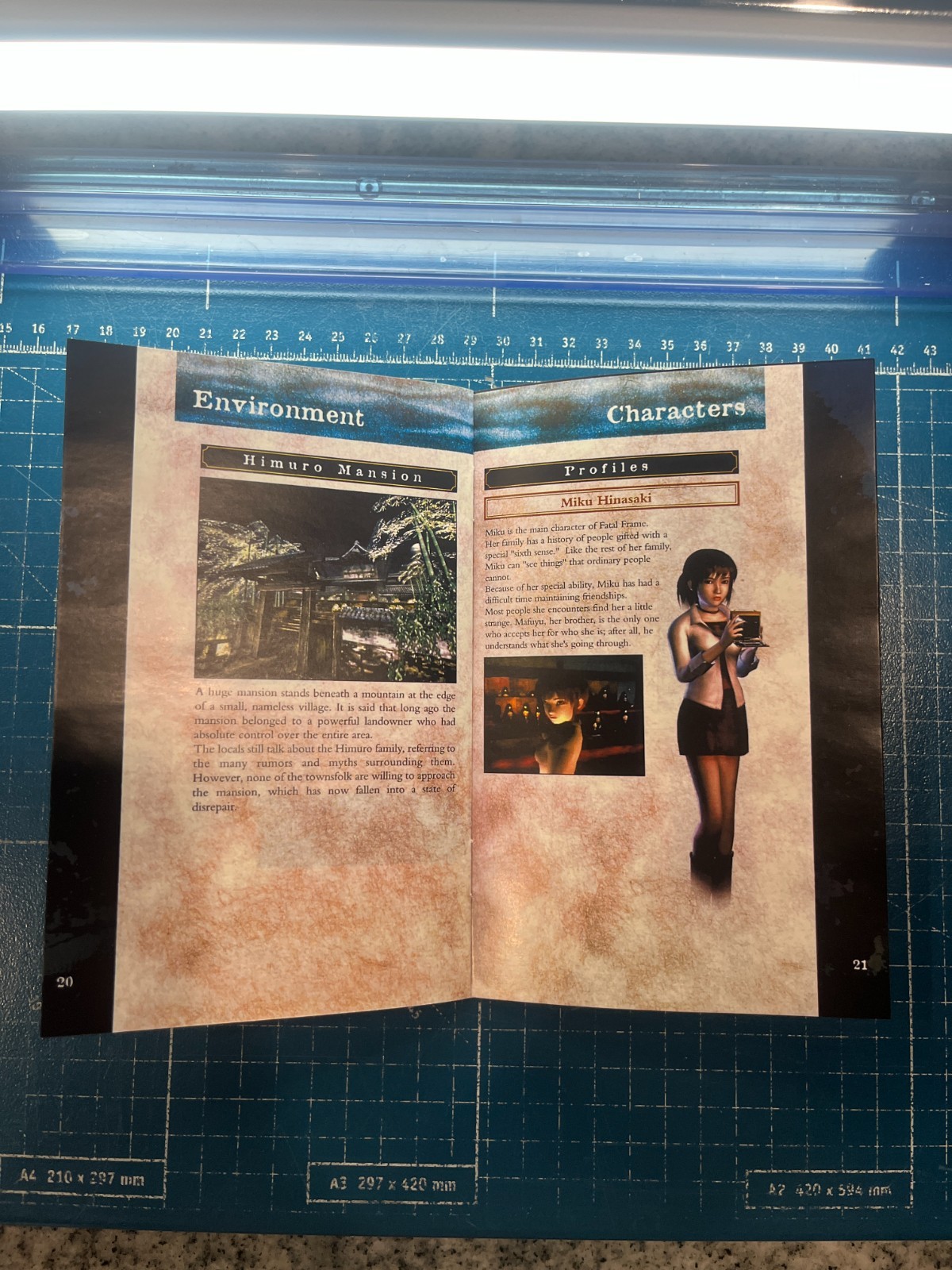 Replacement Manual for - Fatal Frame - Xbox Instruction Booklet