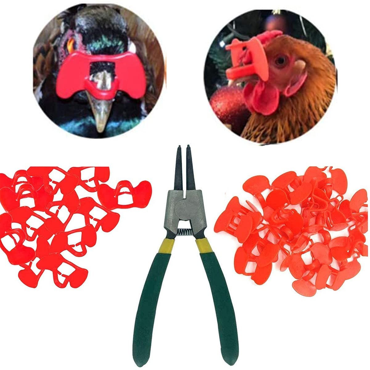 Pinless Peepers for Poultry Blinders with Pliers Anti Chicken Pecking | Pheasant