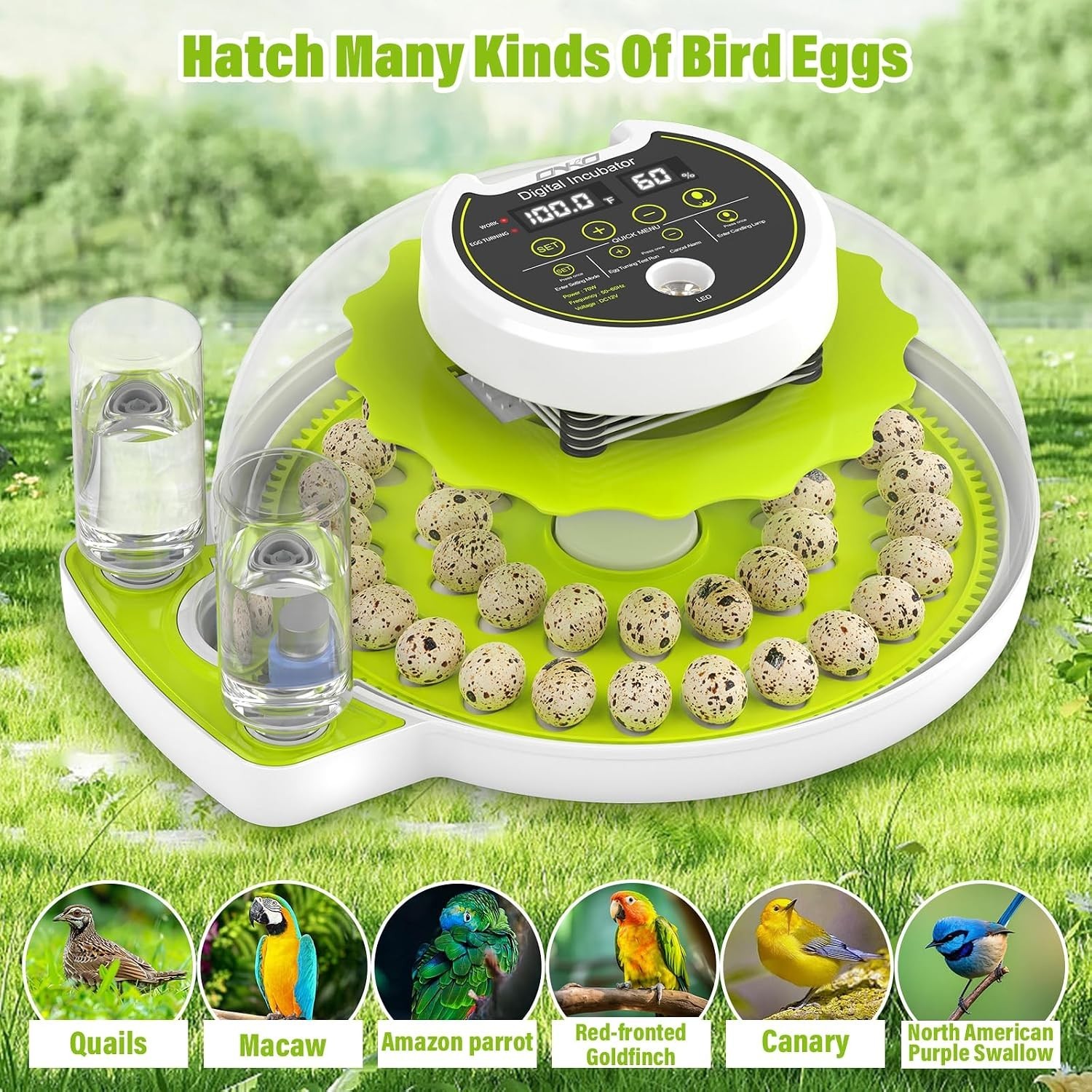 Smart Quail Egg Incubator 40 Eggs Auto Turner Humidity Control