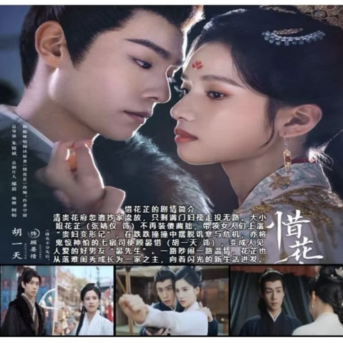Blossom in Adversity (2024) English Subtitle DVD Chinese Drama All Region