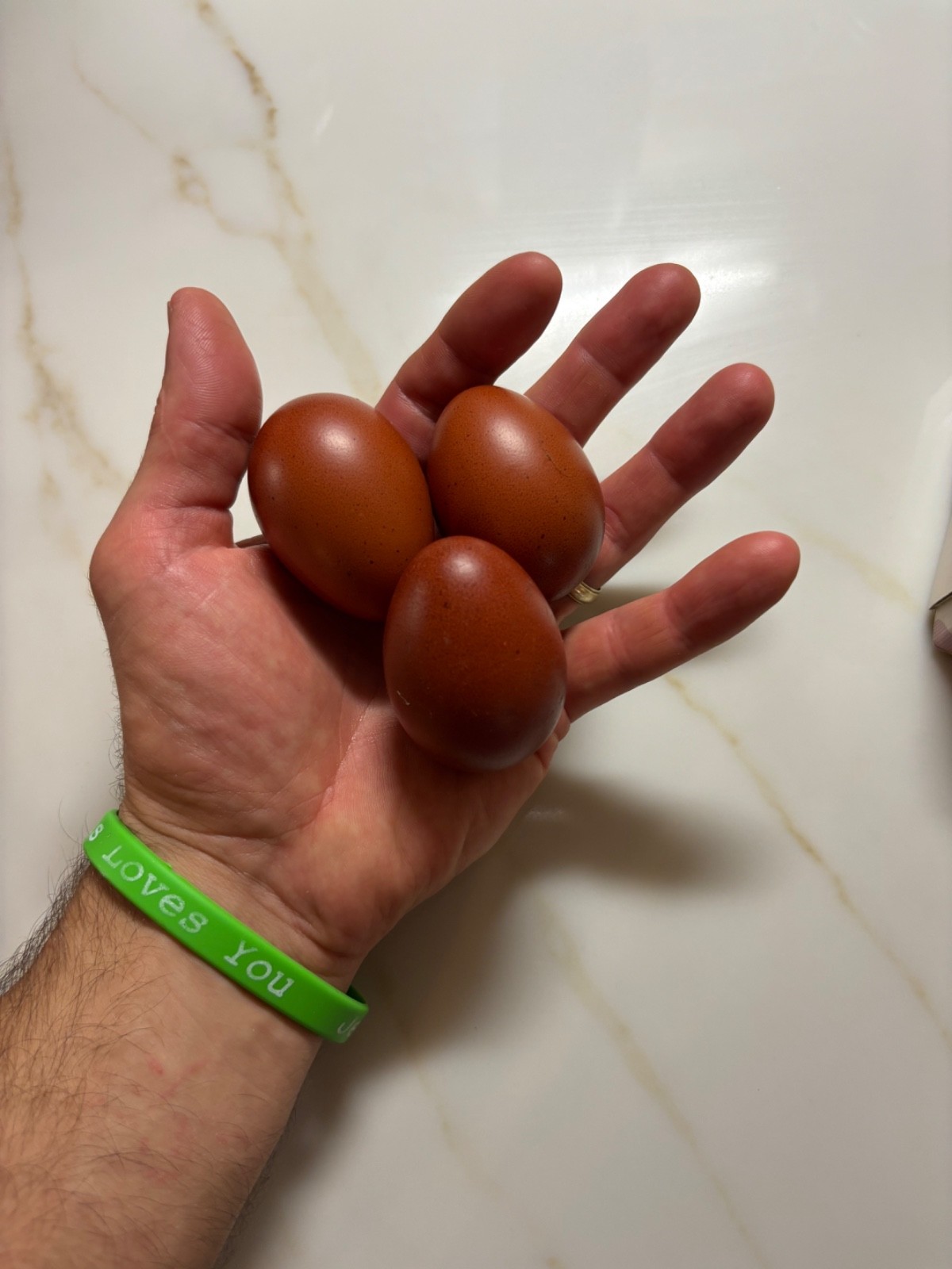 Dozen Hatching Eggs Dark Layers