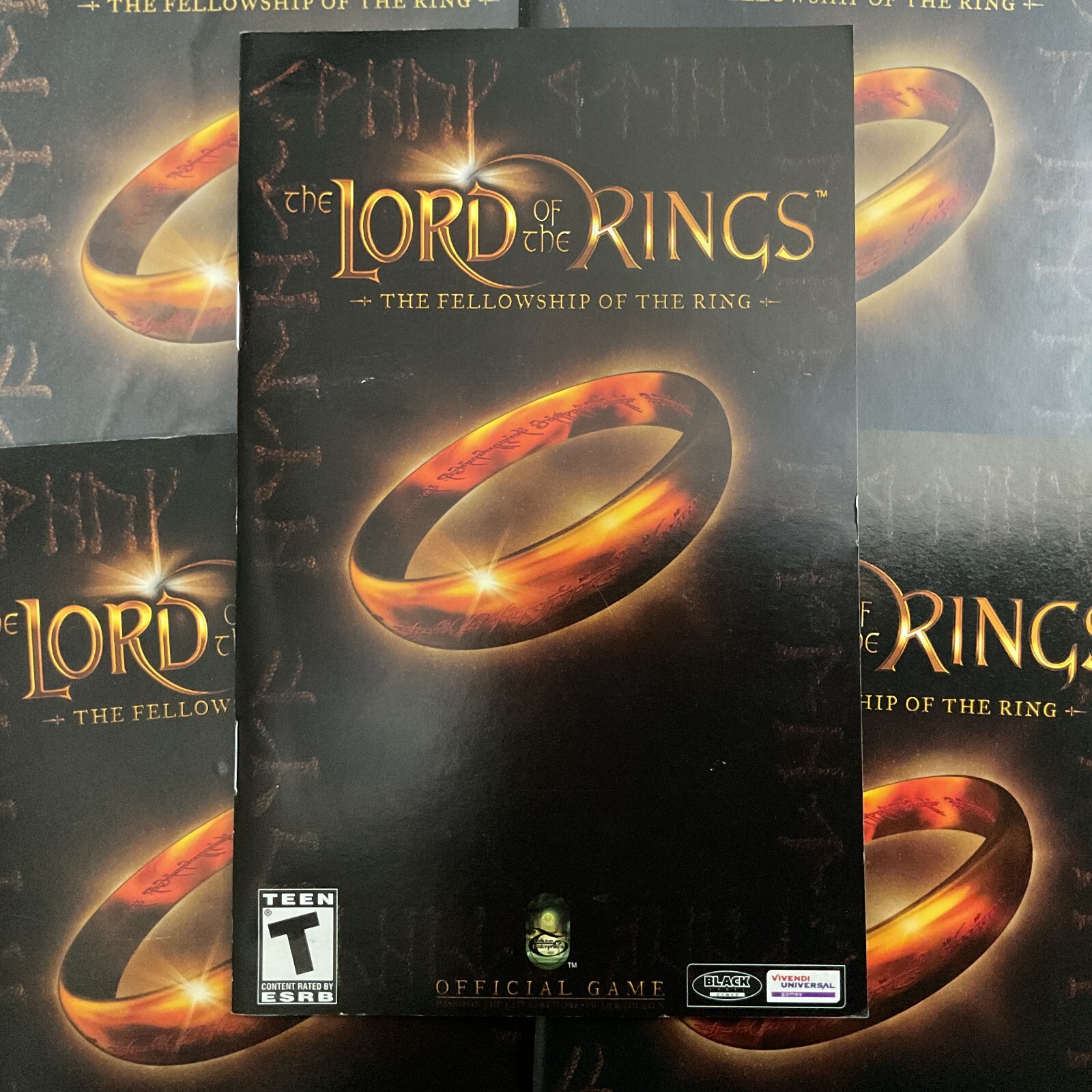 Lord of the Rings The Fellowship PS2 PlayStation 2 Instruction Manual Only