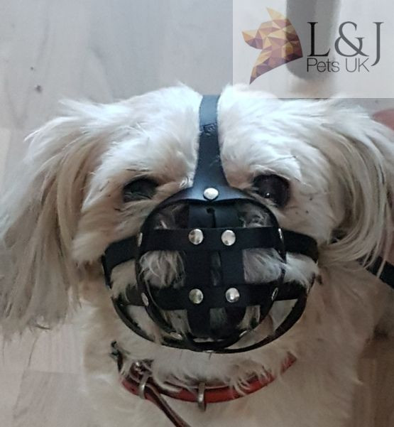 Leather Dog Muzzle for Shih Tzu and other flat face faced short snout dog's