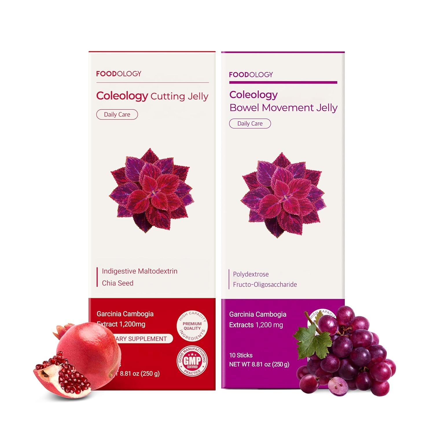 HOT-FOODOLOGY Garcinia Twin Jelly: Cutting & Bowel Movement Jelly, Dietary Fiber