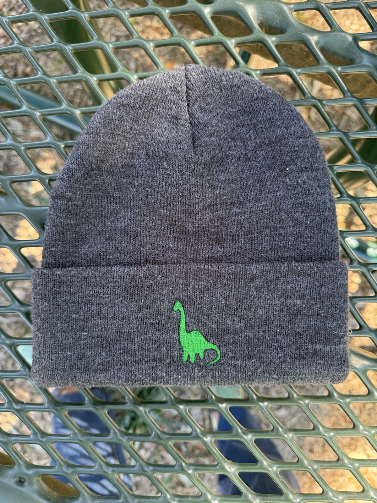 Dinosaur Embroidered Dark Gray Beanie Hat One Size Knitted
