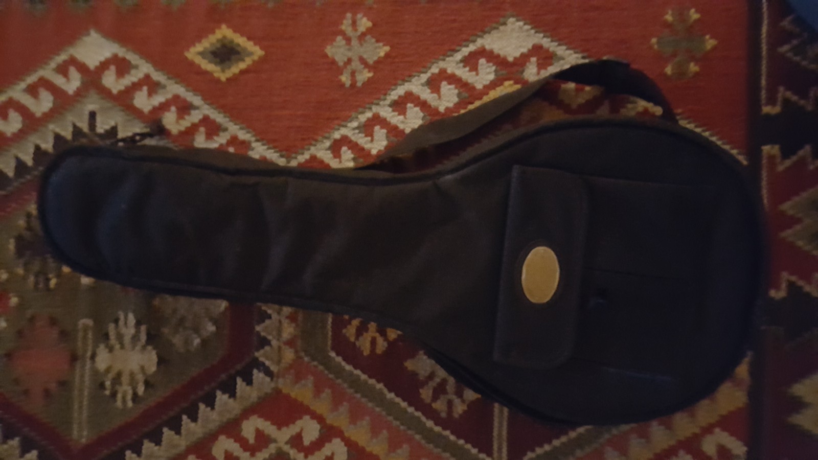 Big Muddy Mandolin MW-0 with Bag