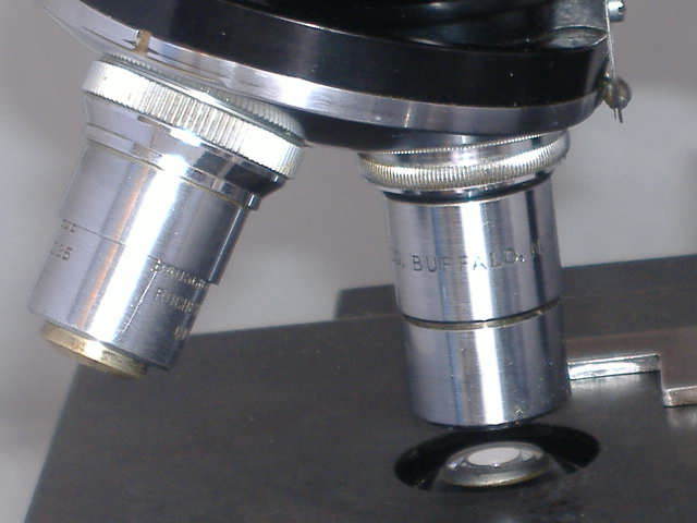 B&L Binocular Compound Microscope pigeon breast 3 Objectives SALE+free shipping!