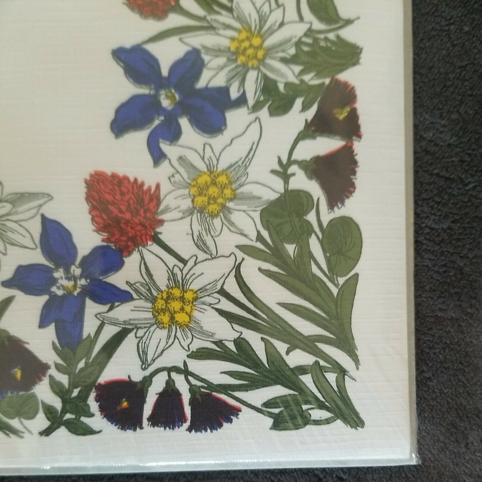 Rare Swiss WIDA Paper Vintage  Serviettes & Swiss Placemats 25 Floral 2 Packs