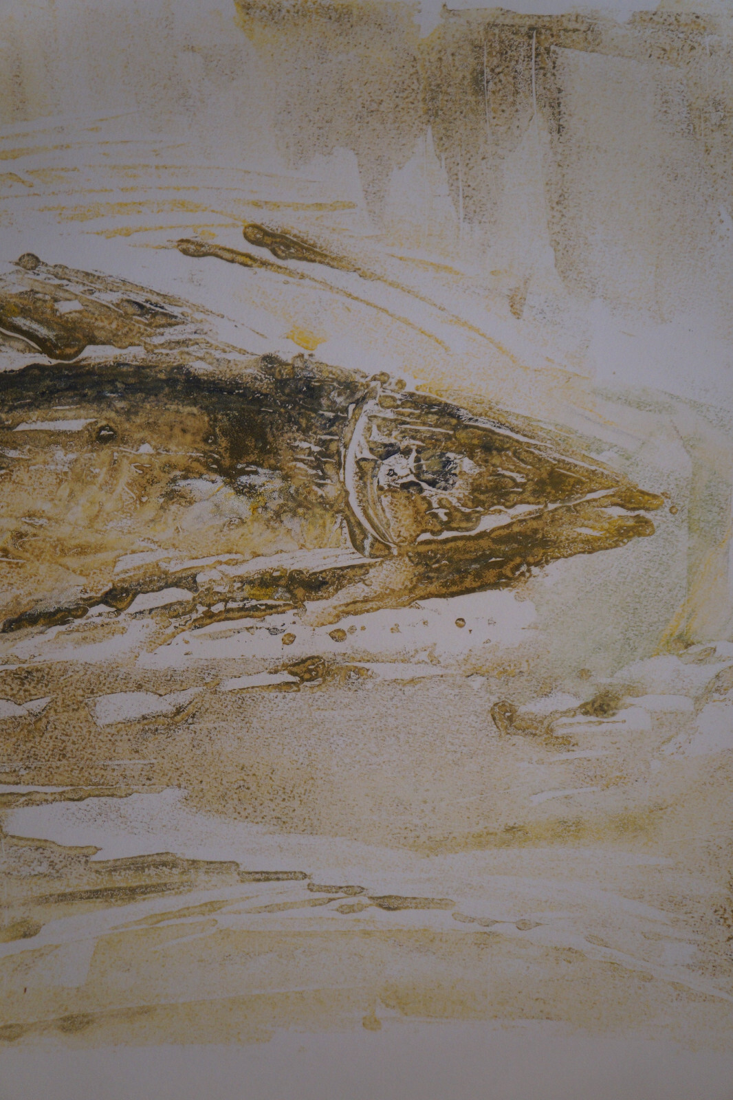 Gouache Drawing Fish By Robert Calix (1919/2008)
