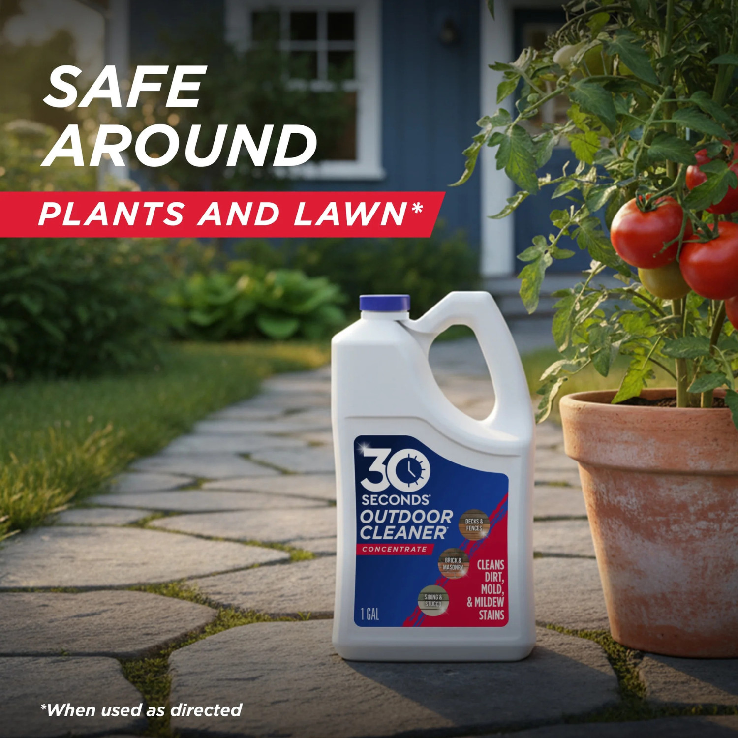 2pk 30 SECONDS 1-gal Mold and Mildew Stain Remover Concentrated Outdoor Cleaner