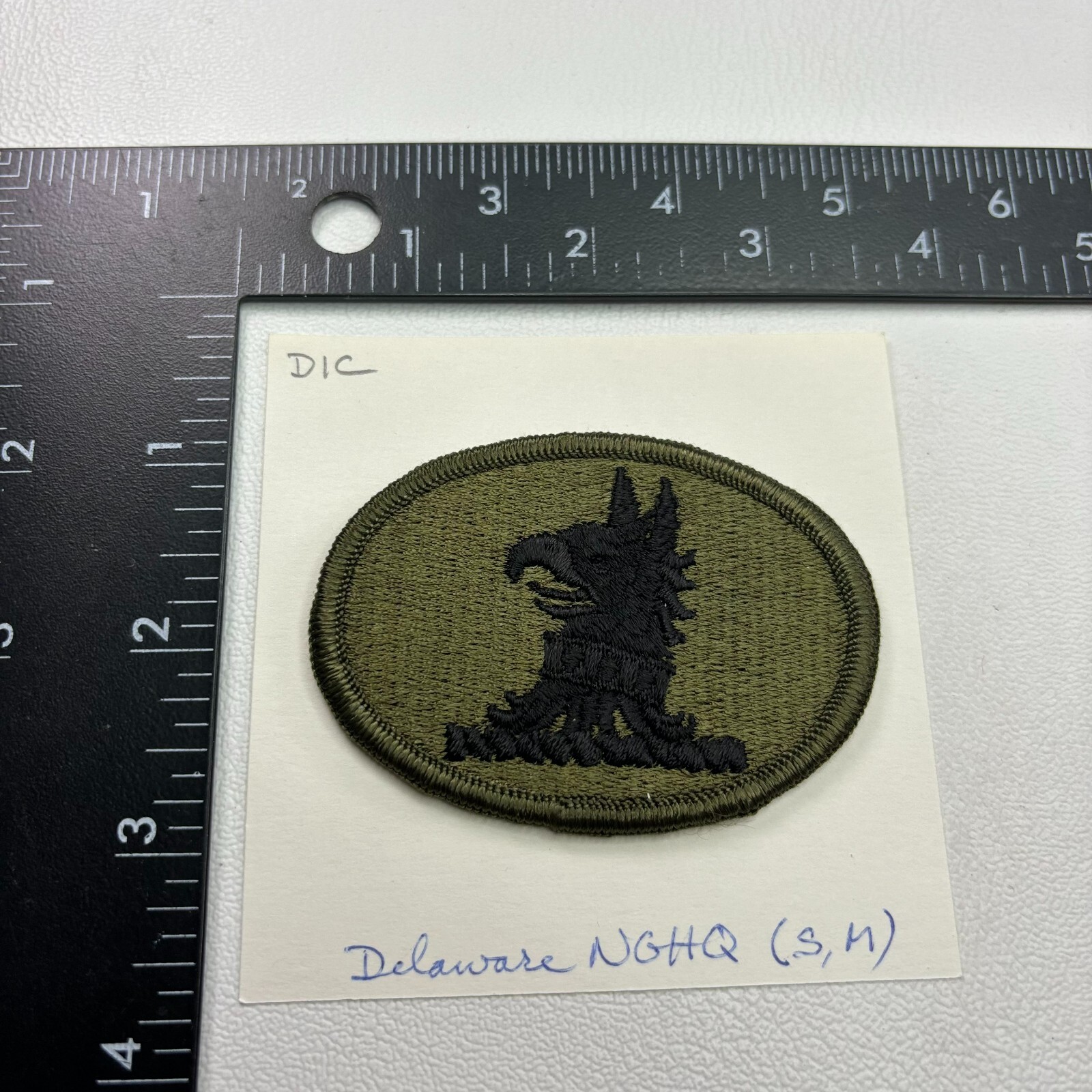 Subdued Merrowed Edge DELAWARE National Guard Patch 39N9