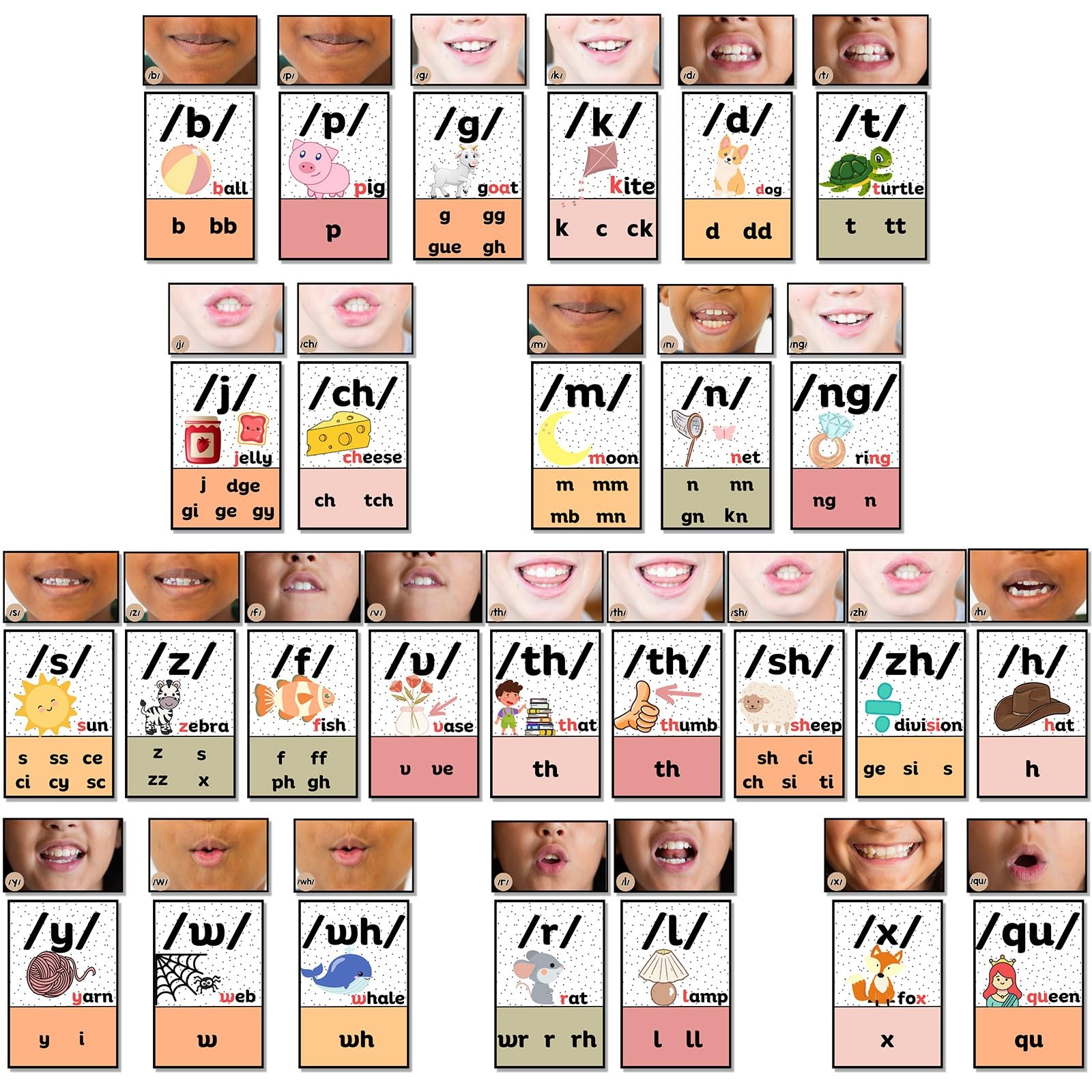 Pastel Consonants Sound Wall Classroom Neutral Phonics Kit, Science of Readin...