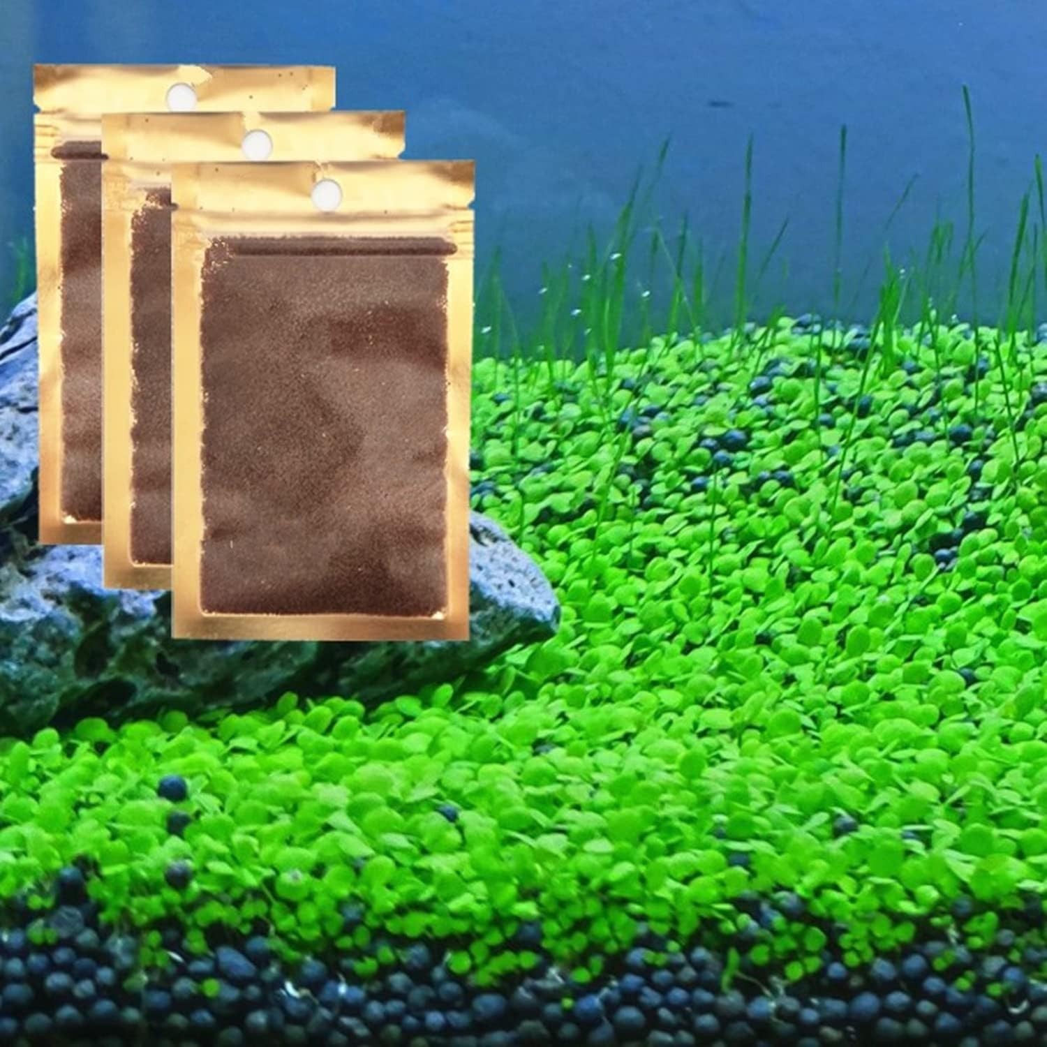 3 Pack Aquarium Plant Seed Set for Fresh Water Fish Tank